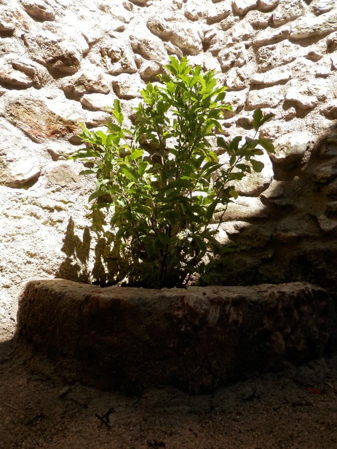 Cali B&B Alatri エクステリア 写真